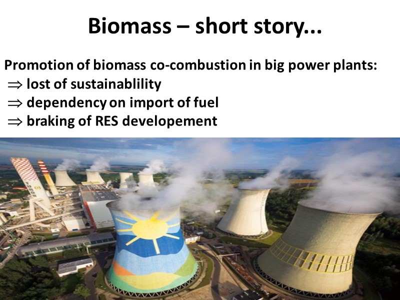 Biomass – short story... Promotion of biomass co-combustion in big power plants:  